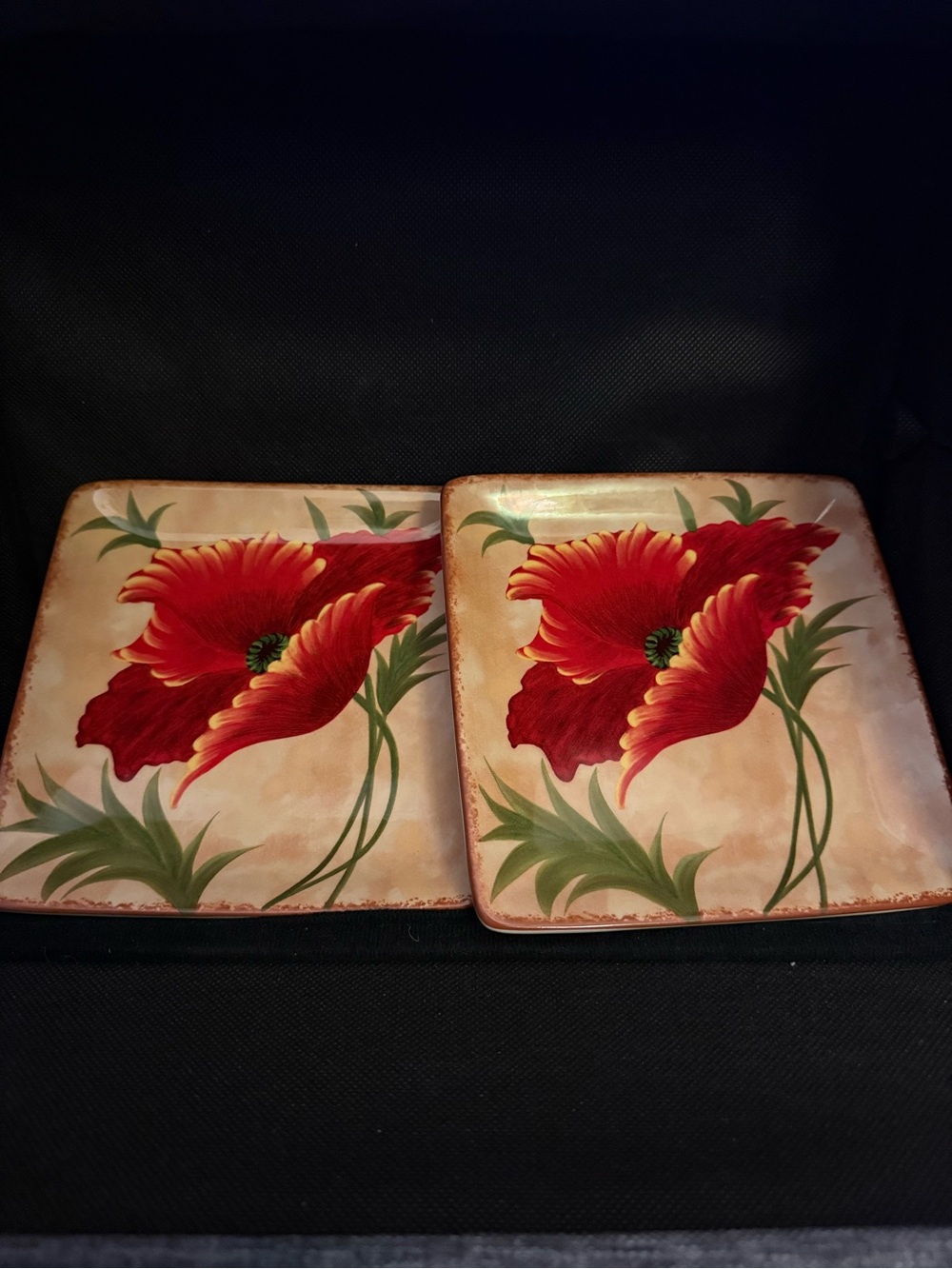 Pier 1  Imports Red Floral Ceramic Salad Plates Set of 2 #UBG